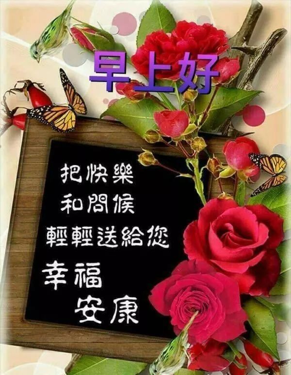 早上好圖片帶字和鮮花2019早晨好簡單祝福語