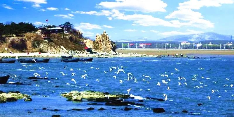 钻石北戴河山海关沙雕渔岛一价全含双汽4日游8月19日22日