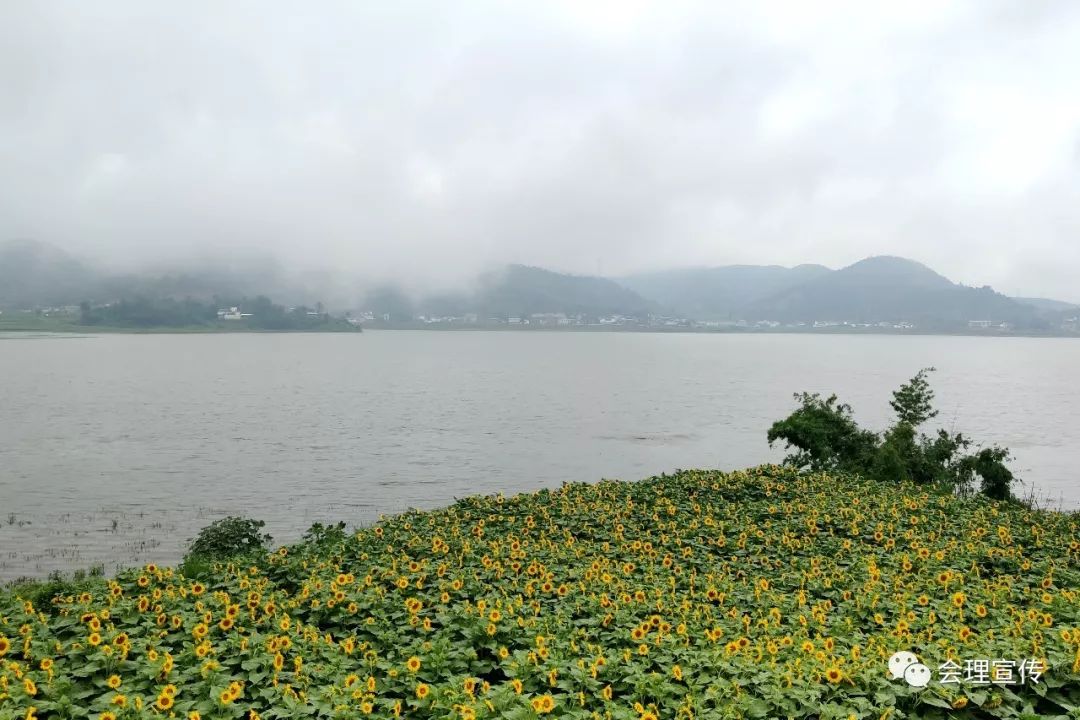 黎溪鎮2019古道花海季大型展演活動緊密鑼鼓籌備中