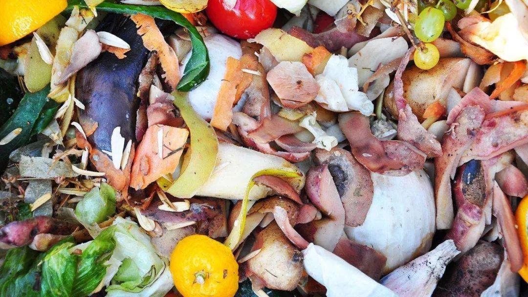 雷系咩垃圾? | 人大代表帮您解答