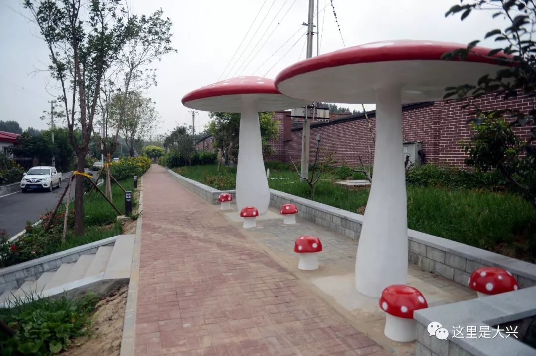 大兴这个村每年都给村民发钱,人人有份!