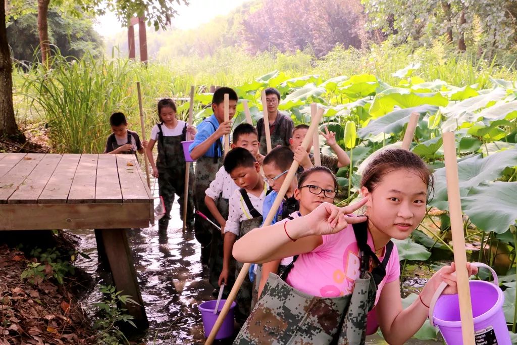 融入steam超學科教育理念,天福溼地自然學校通過精心設計的戶外教育