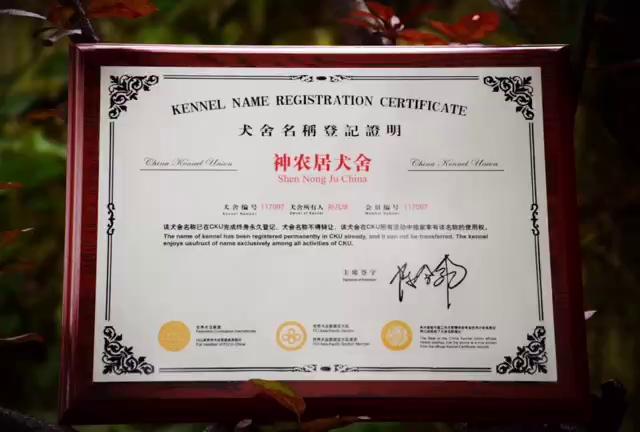 cku犬舍资格证