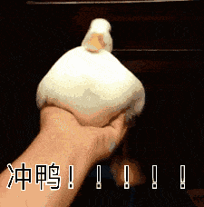 225_228gif 动态图 动图