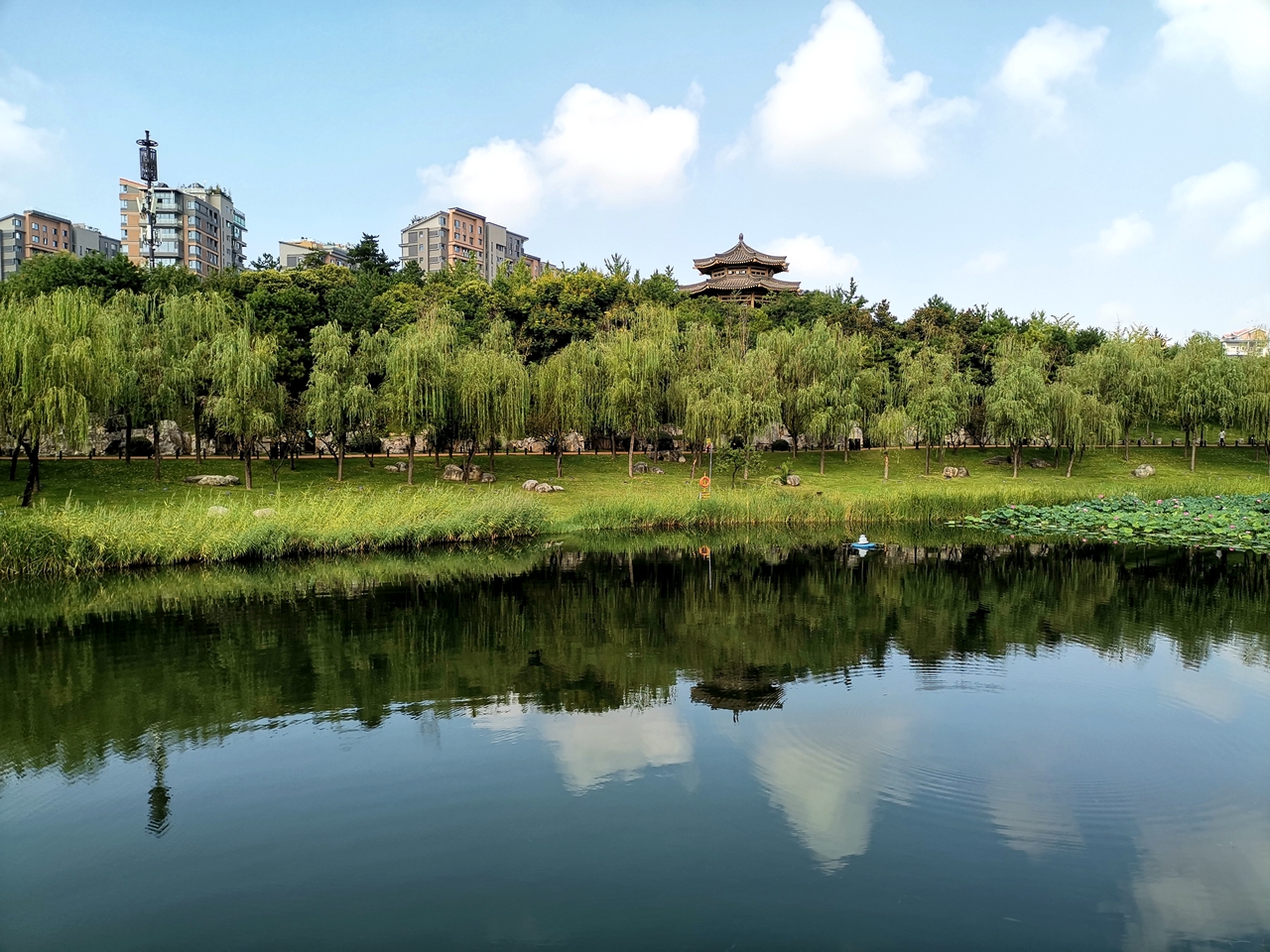 曲江池的晴天有点美西安一定要来逛逛的地方