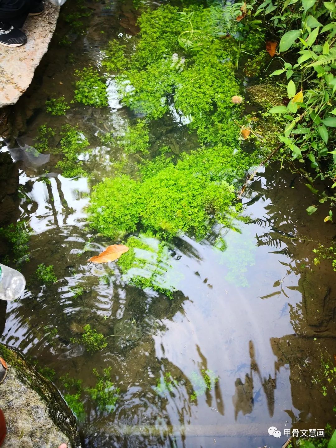 2019年乐活仙谷研学夏令营顺利结营