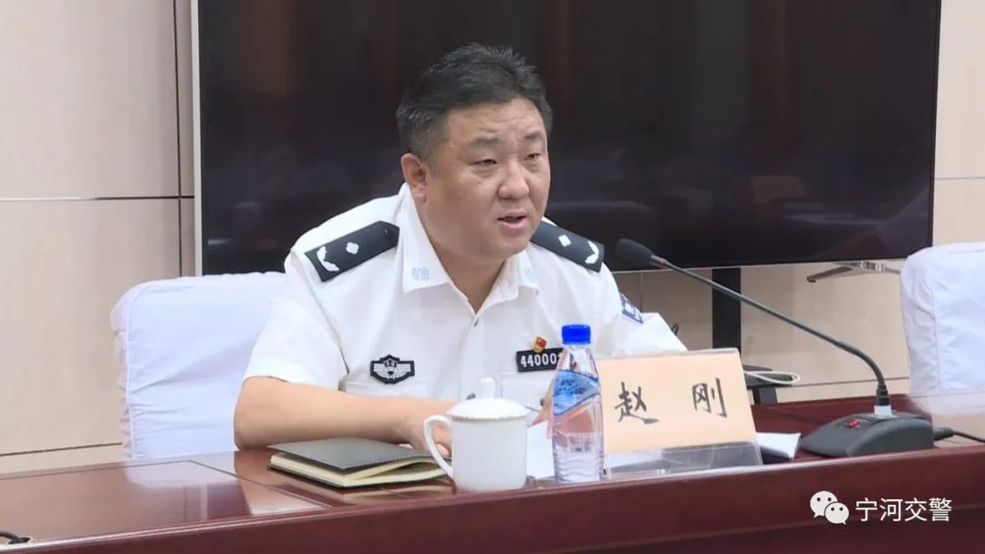 区委副书记,区长张伟,区委常委,区政法委书记边均兴,副区长,公安宁河