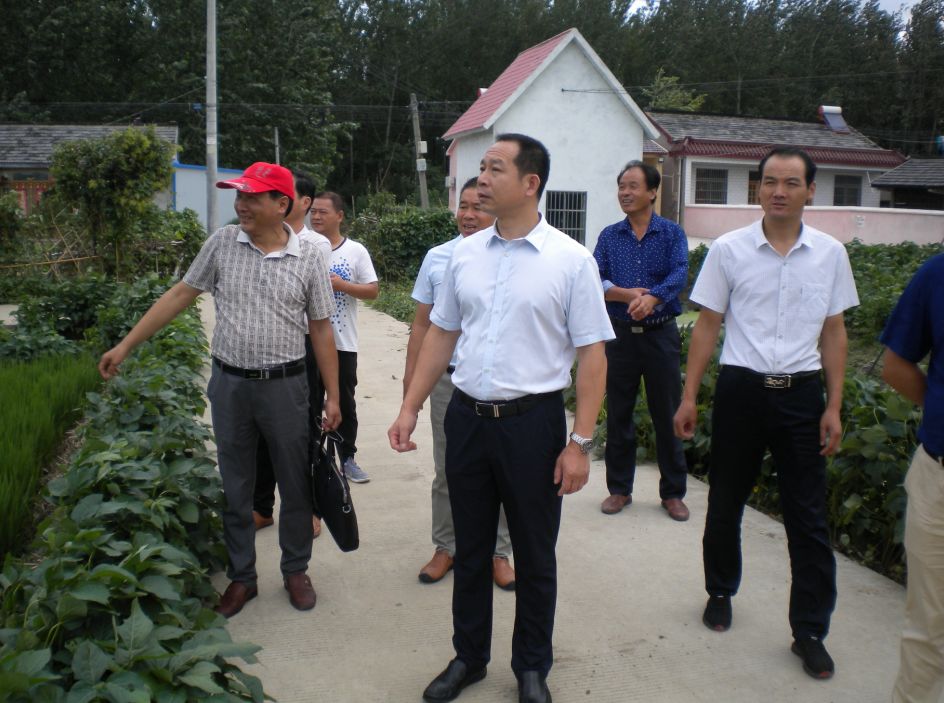 界首镇督查推进三拆三整治三提升