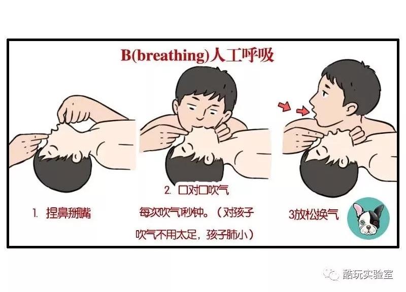 共吹五次频率为每分钟20次欧洲2015年指南推荐,第一次人工呼吸,先吹气