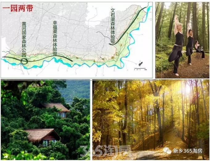 原阳湿地公园简介图片