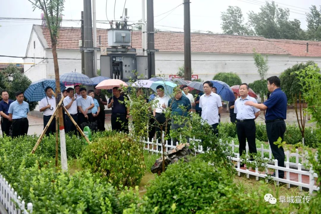 全体同志冒雨观摩了码头镇韩庄村,鲁庄村,听取并实地查看了两村人居