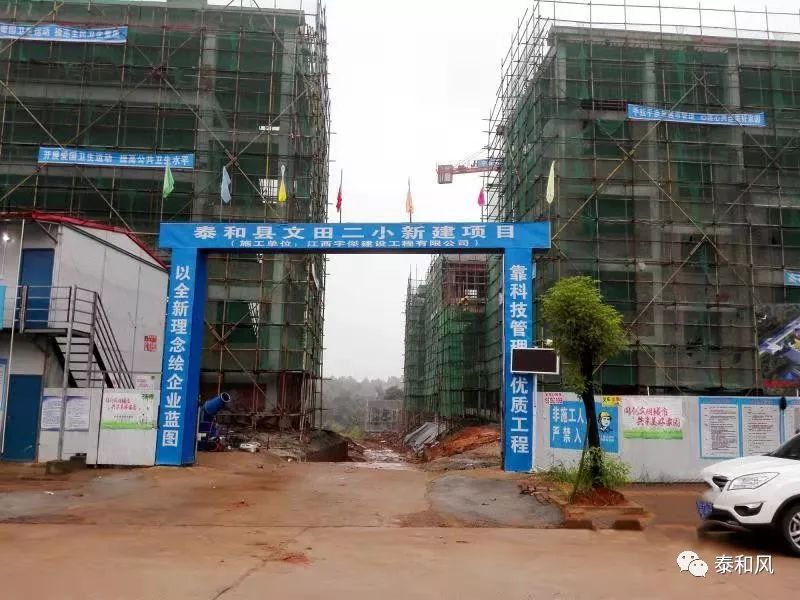 教育之光：聚焦泰和实验学校的发展之路