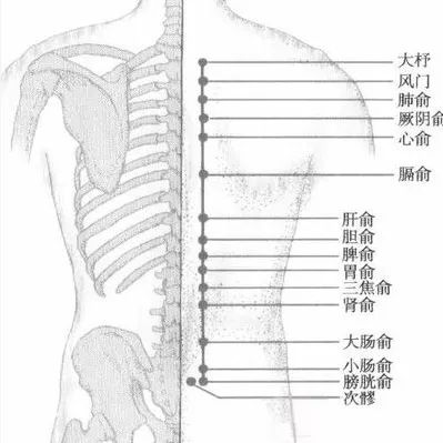 立秋养肺清肺一碗立秋汤给身体清清肺火深秋才能补进去