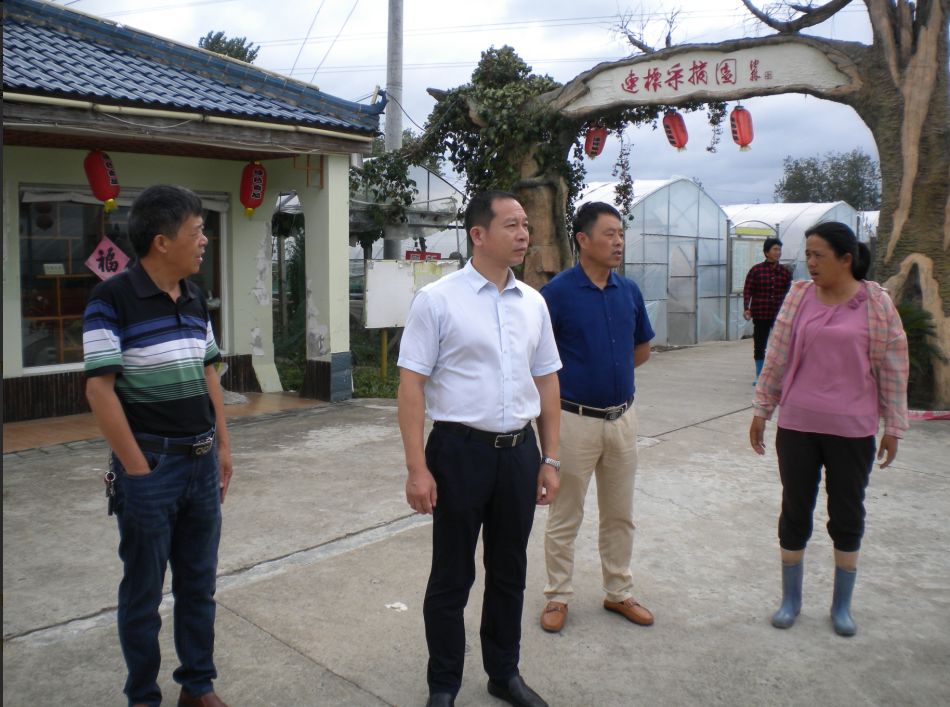 界首镇督查推进三拆三整治三提升