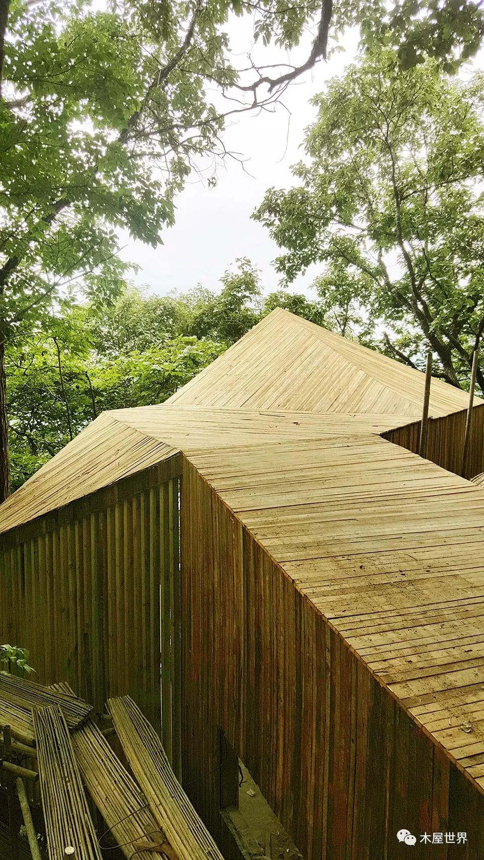 绿树掩映的微型建筑,y舍树屋