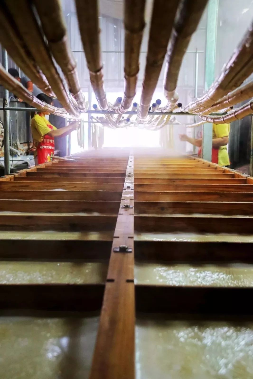 曝光阳山特有的腐竹制作全过程揭秘