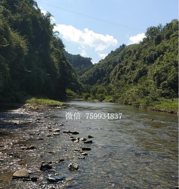 南川庞官渡露营魅力庆元镇