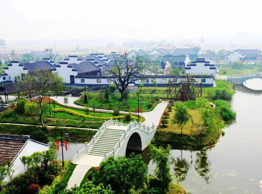 东台上了新华日报头版那一定少不了富安的风采