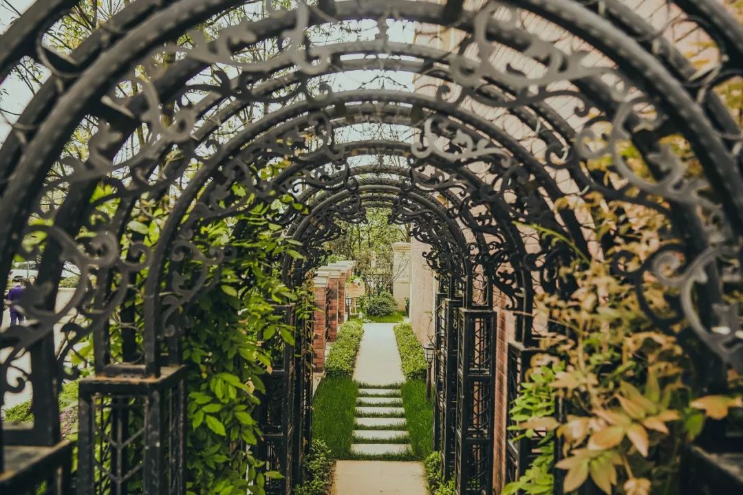 精致浪漫的铁艺花廊▲精致浪漫的铁艺花廊▲精致尊贵的院门【南区