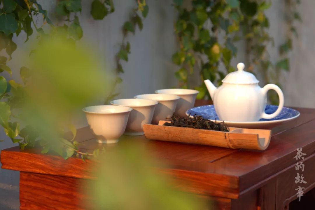 我想有个小院子安心喝茶过日子