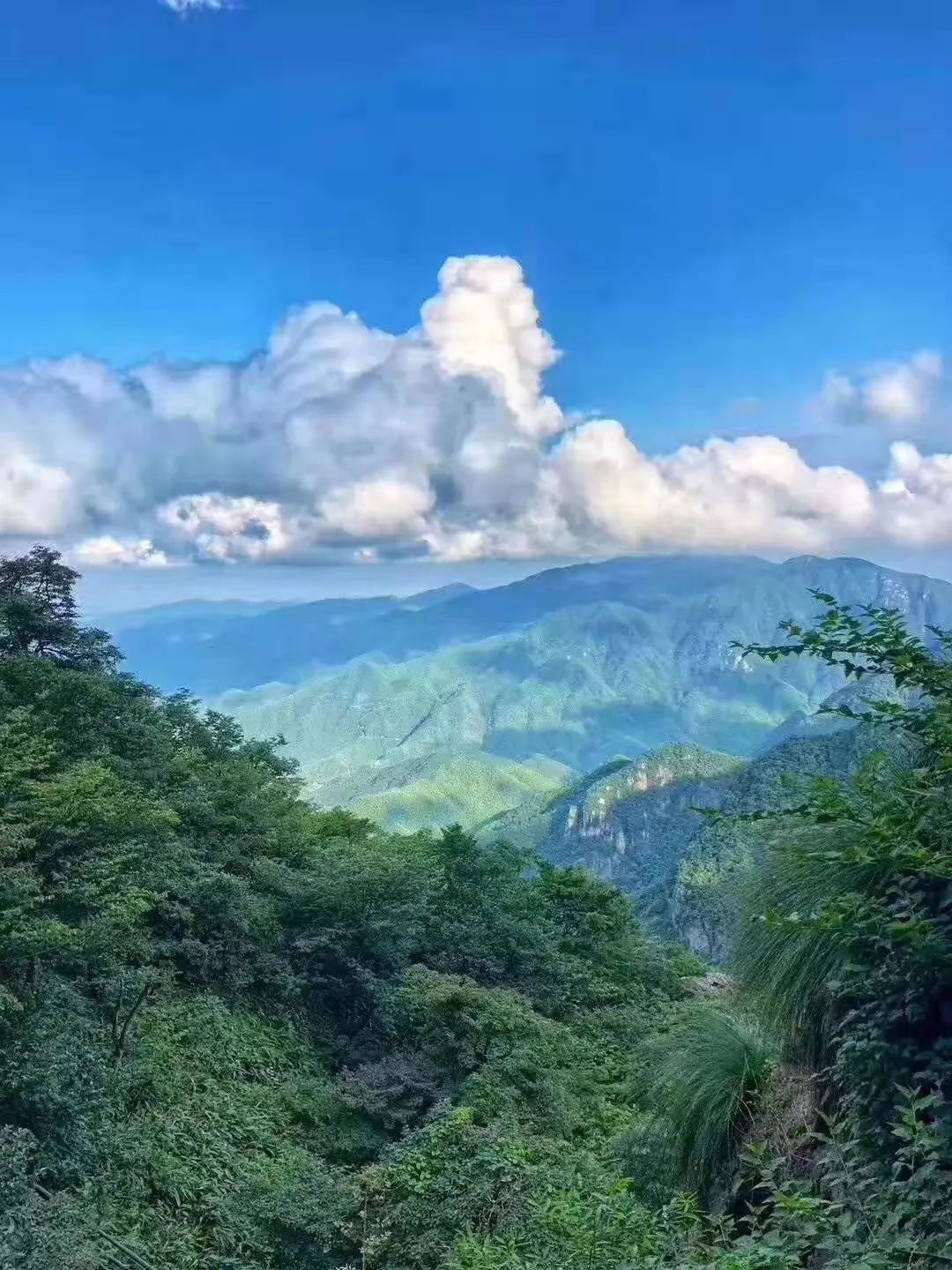 为你挖到一波高颜值的避暑胜地就藏在家门口的最清凉的小镇