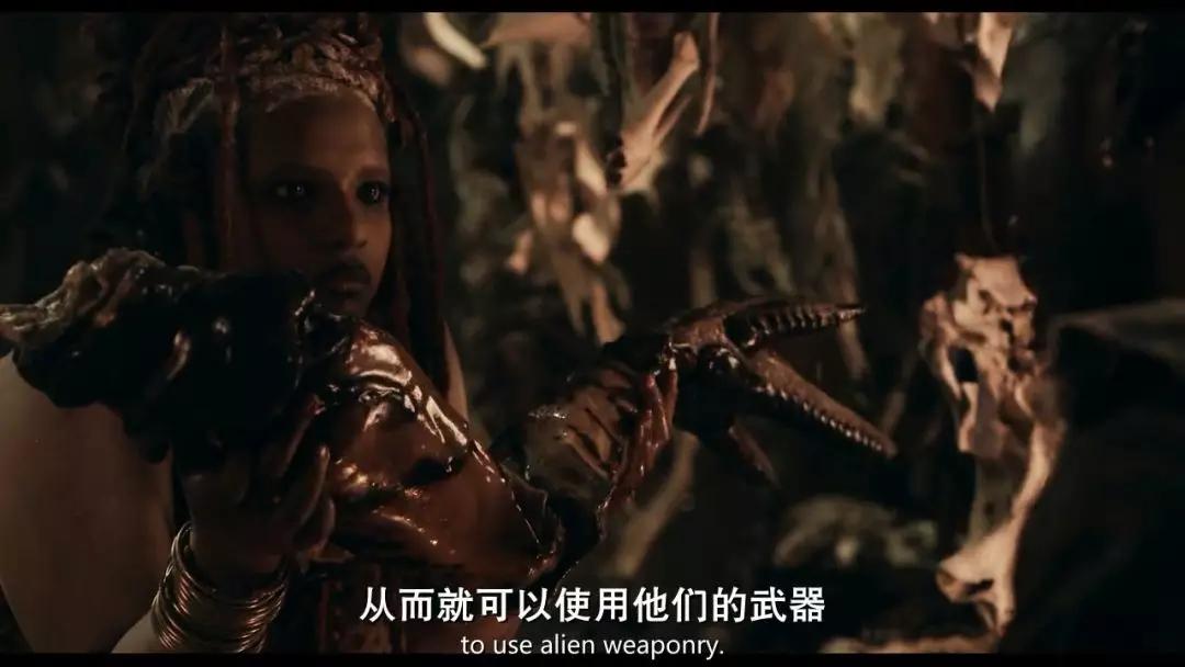 原创它只比上海堡垒好一万倍而已