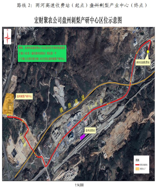 聚焦盘州2019年刺梨鲜果开始收购了