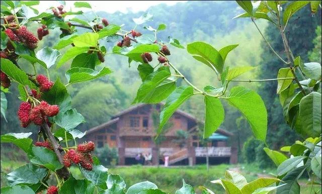 南昆山中坪尾村入选全国乡村旅游重点村