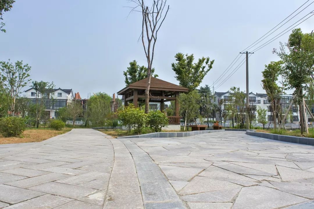 潭村公园图片