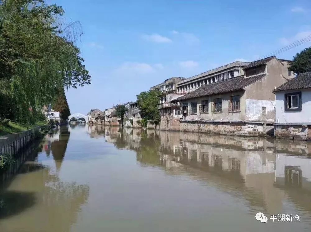 生活在新仓,满满都是幸福感!_平湖