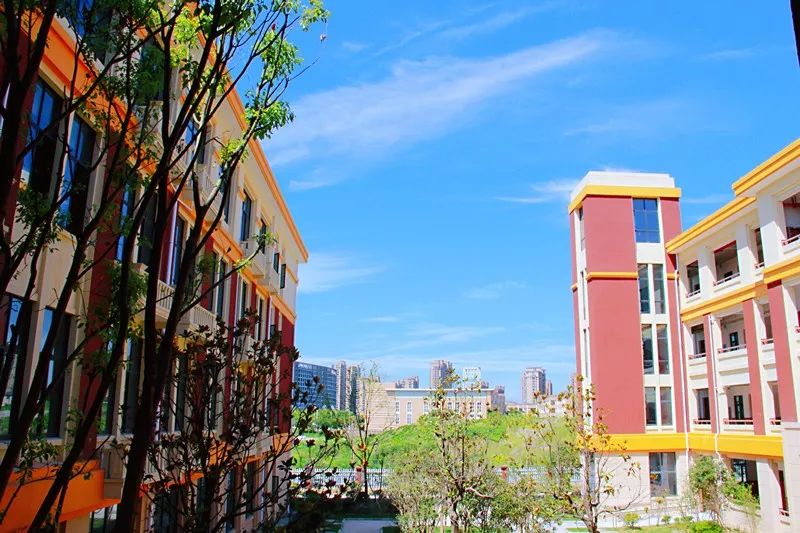 平湖又一所新建小学下月启用啦校内这处设计超酷炫