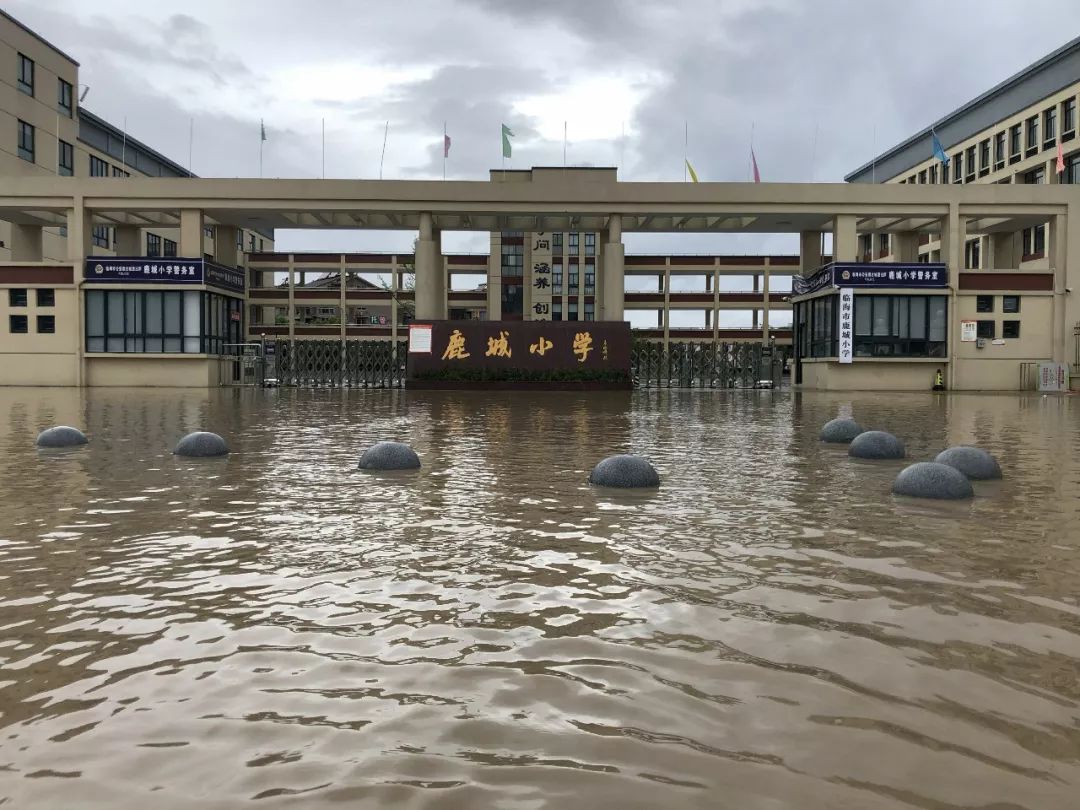 鹿城小学积极开展灾后自救工作