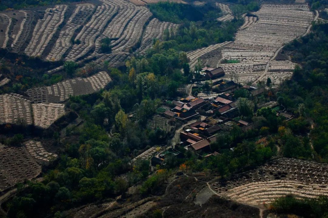 河北创城常态创建杨树岭镇张艳红孝老亲如许丹心照玉壶