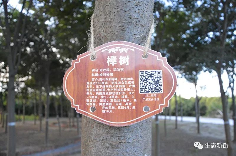 新街镇苗木挂名片妆饰二维码