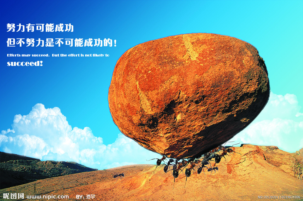 历史系考上难如登天的大学
