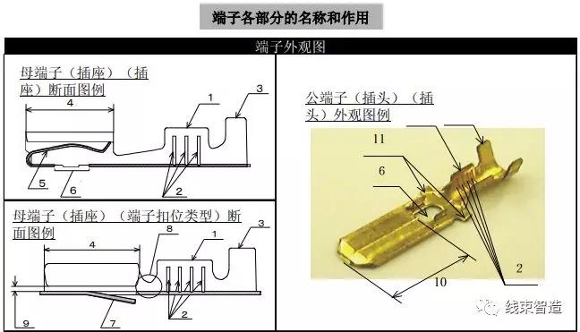 关于端子和压接品质方面的知识