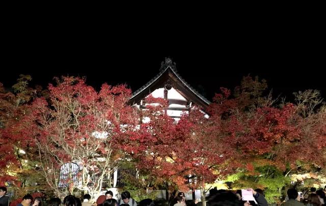 原創瑠璃光院抄經燈夜遊楓紅葉隧道日本賞楓名所大公開