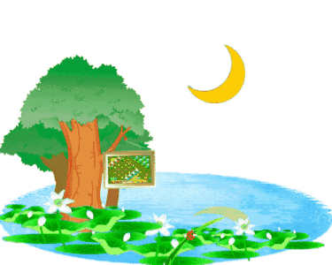 烈日炎炎,他们为磁县振兴渠美颜!_水草