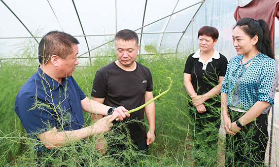 (来源:舞阳县人民政府) 8月14日下午,县委副书记朱暑光先后到文峰乡