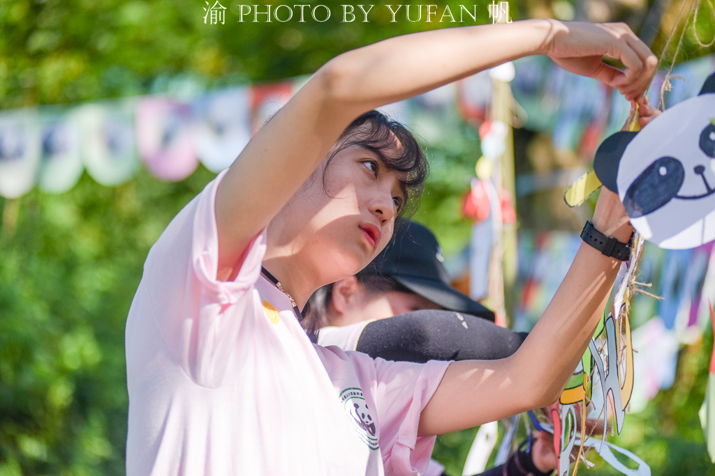 #一城一夏#华蓥山大熊猫基地的淘淘十三岁生日,全国各地的粉丝赶来为他庆祝 #一城一夏#华蓥山大熊猫基地的淘淘十三岁生日,全国各地的粉丝赶来为他庆祝