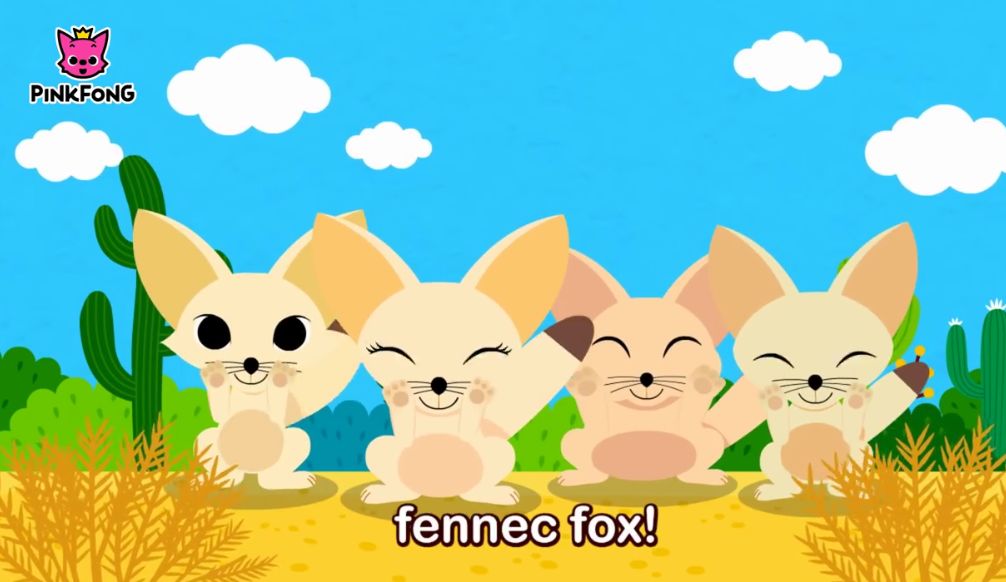 磨耳朵生活在撒哈拉沙漠的耳廓狐耳朵真的很有特点哦fennecfox耳廓狐