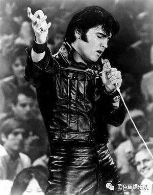 千王之王舍他其谁猫王埃尔维斯普雷斯利