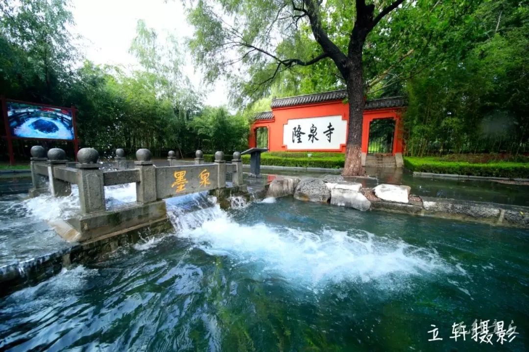 无惧风雨群泉喷涌章丘小泉城名片更加明艳