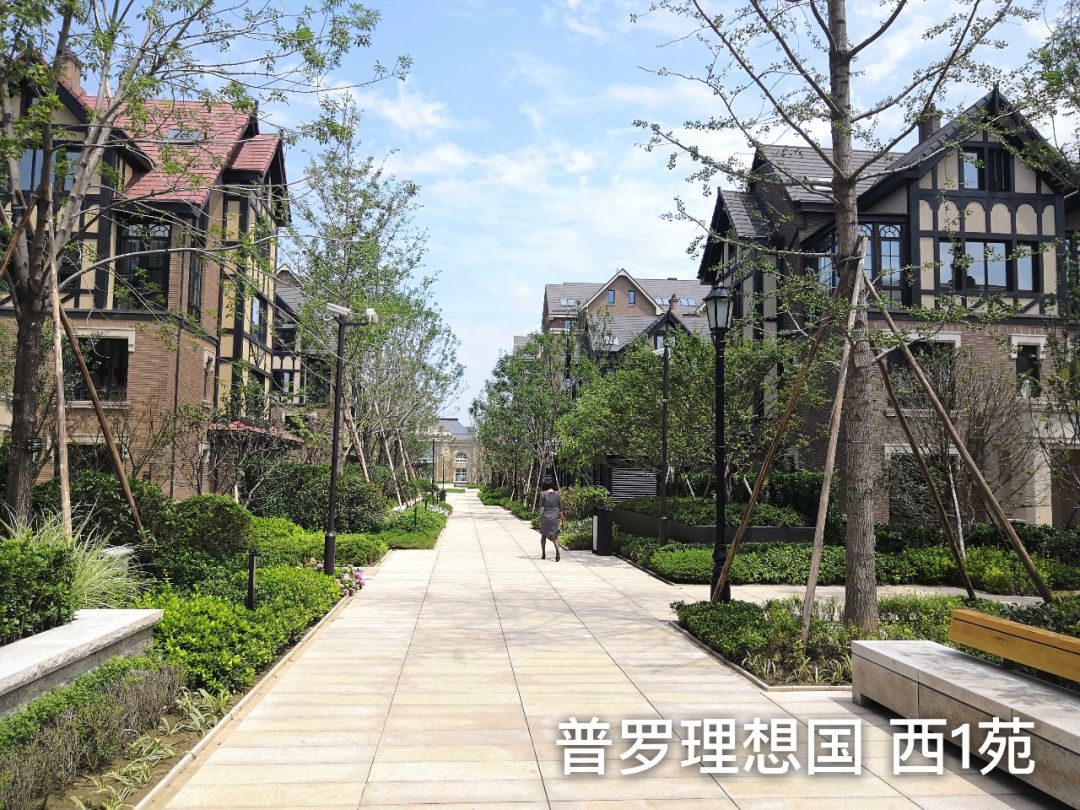 信和置业顶风作案郑州普罗理想国无证预售交房拒绝整改理想国不理想