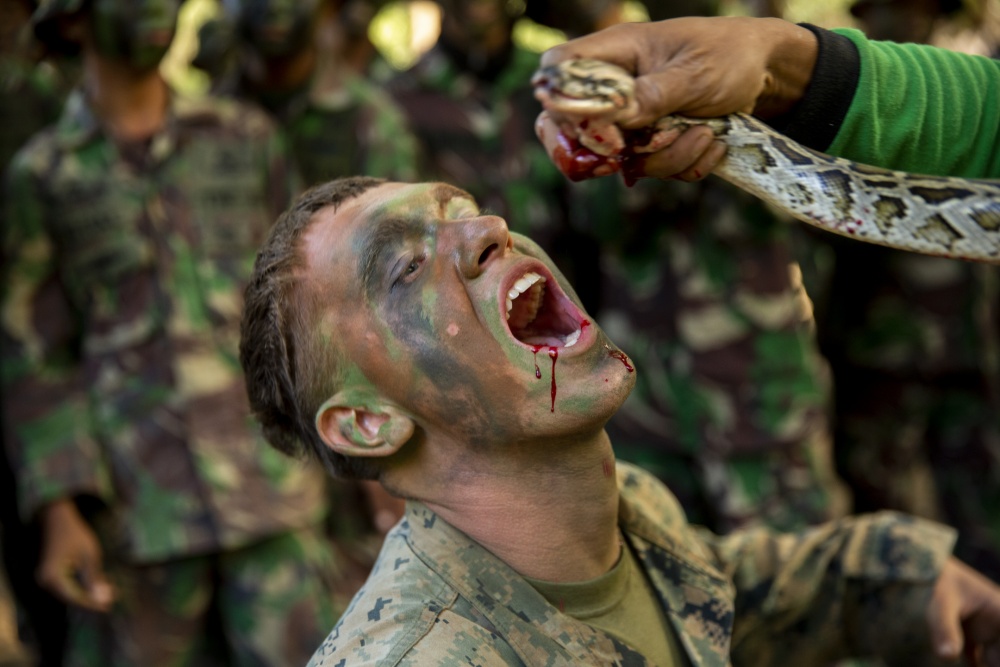 美军士兵在印尼学习丛林生存技能 品尝蛇血树汁