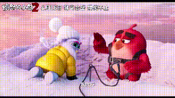 最后要逃出生天的时候,猪鸟在天空中进行了来了一场"我们到底穿不穿