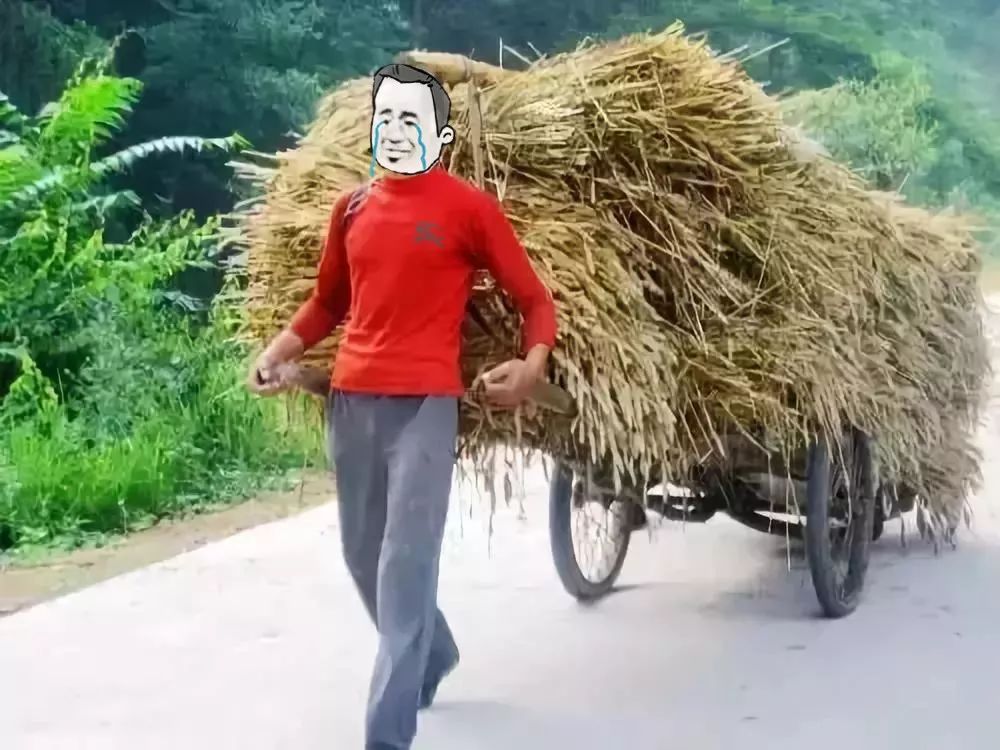 再也不用骗男朋友回家割麦子了!