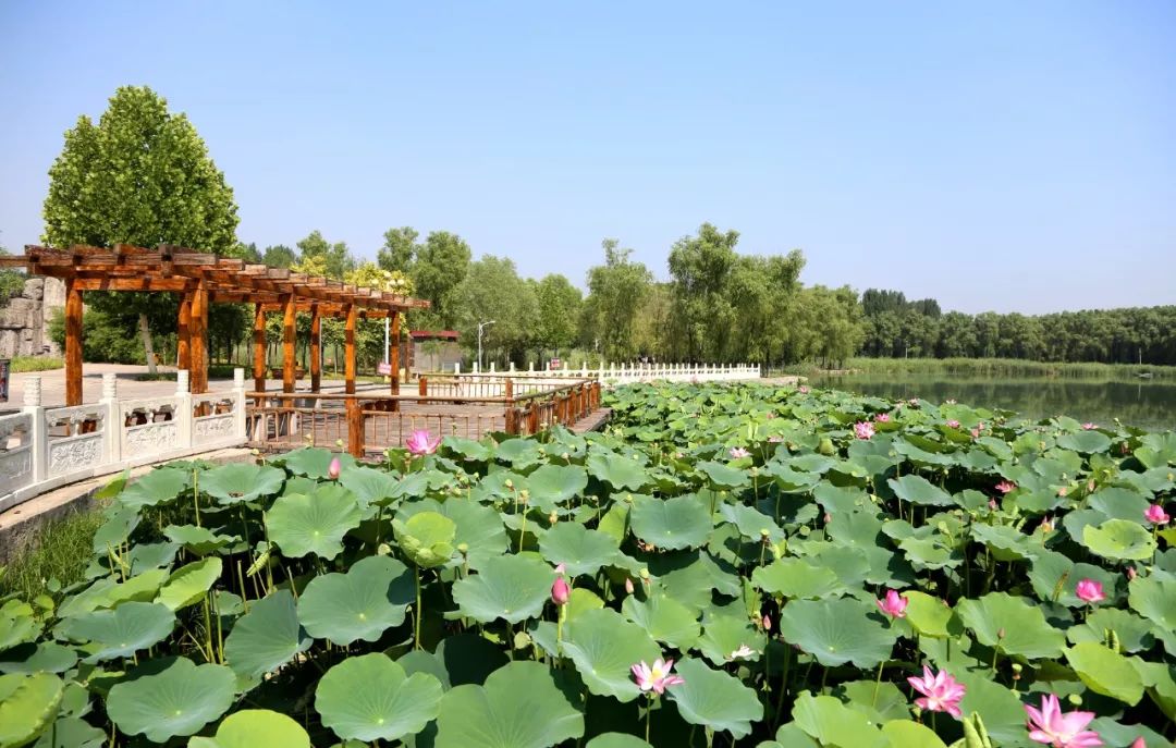 风景井如画心旷矿神怡金秋时节石家庄这两地将惊艳亮相