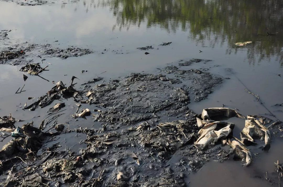 过程中主要产生清洗废水,生活废水,饭堂废水,粉尘,油烟,噪音等污染物