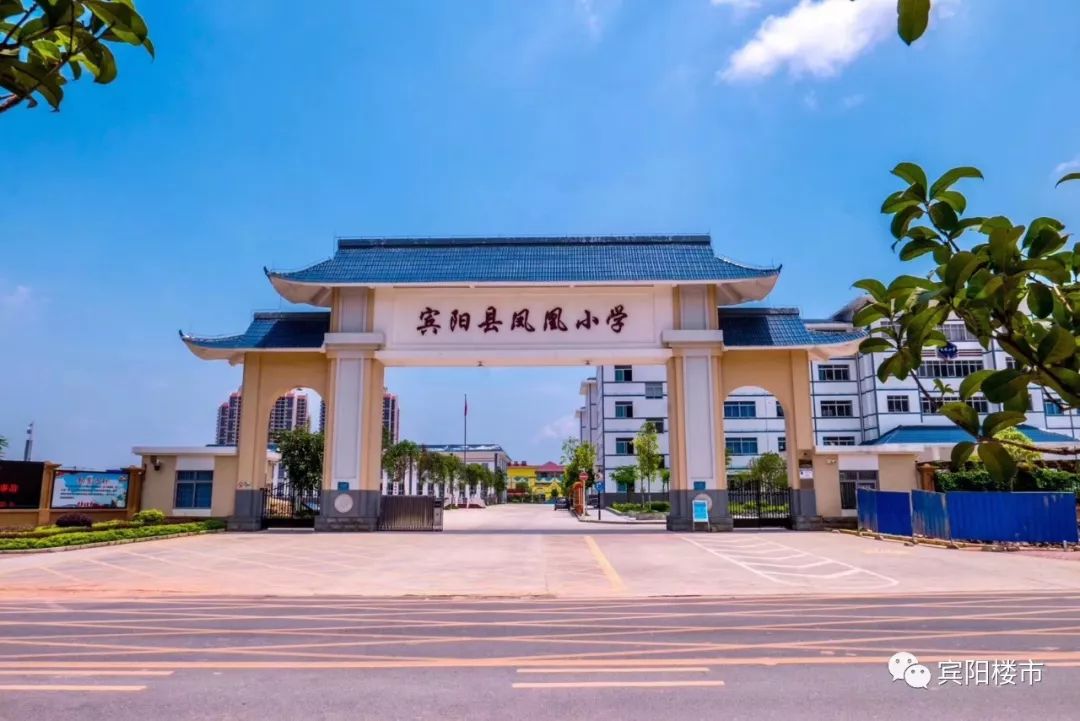 凤凰小学2019招生简章8月20日开始正式报名